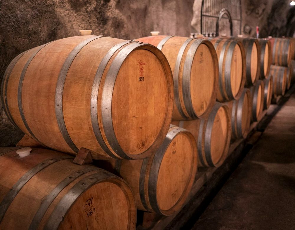 Oak barrels resting in a wine cellar